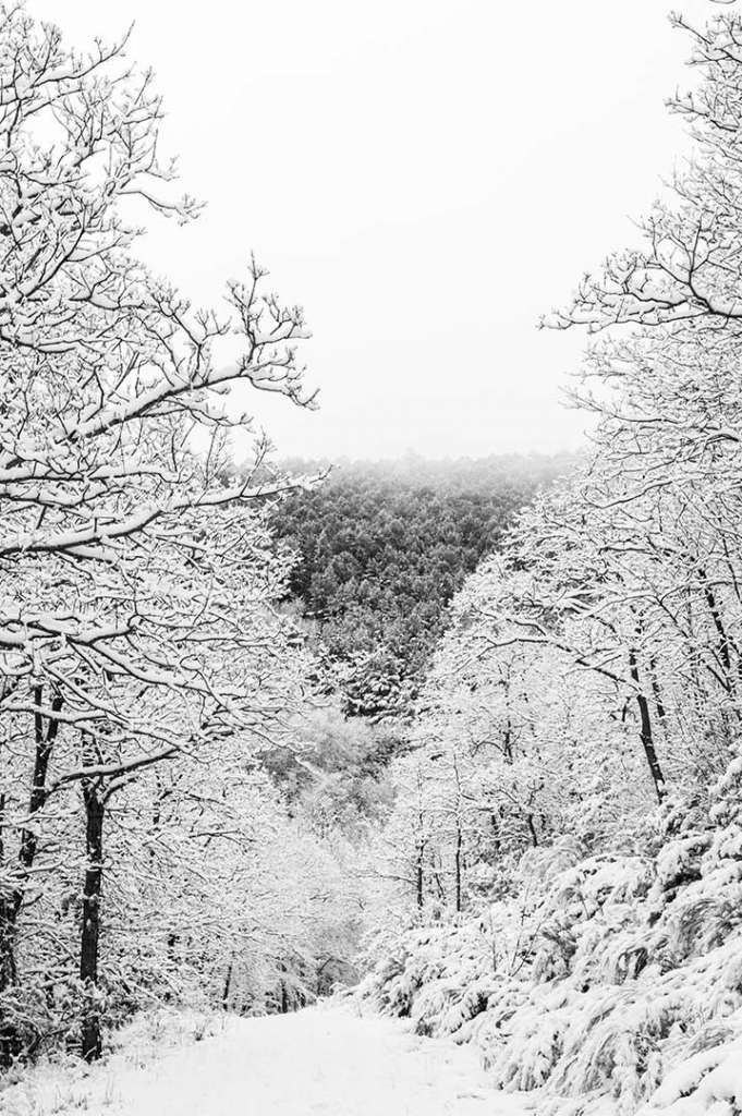 paisaje nevado montaña blanco y negro