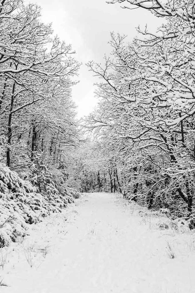 paisaje nieve montaña blanco y negro